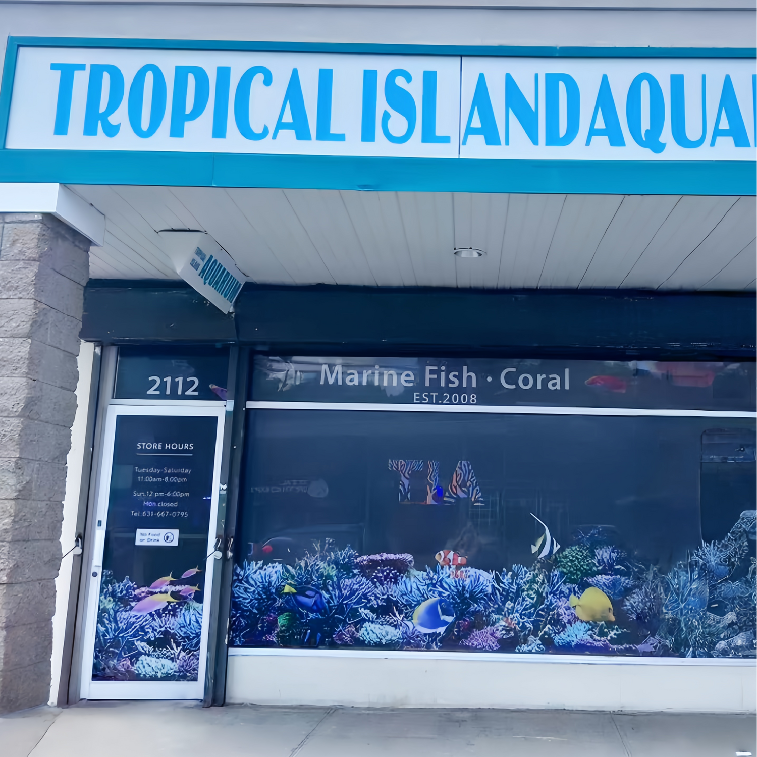 TIA Collection Corals is a Saltwater aquarium shop a local fish store in Long island , known as tropical island aquatic