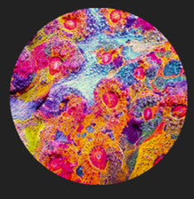 LPS corals 