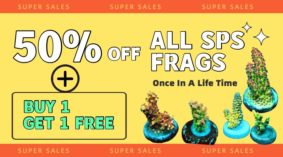 TIA Super SPS Sales