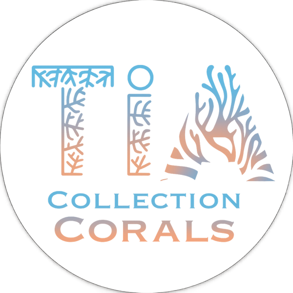 TIA Collection Corals Live Coral for Sale New York