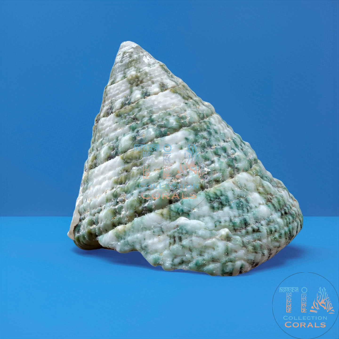 Laberinto del núcleo fundido