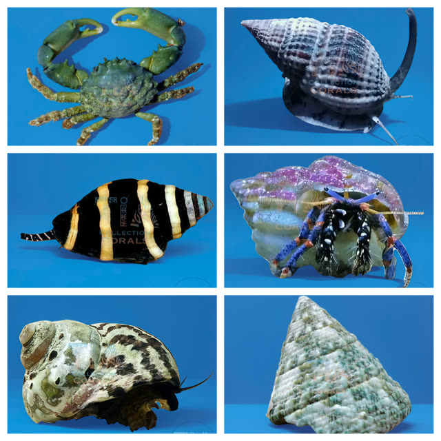 Inverts